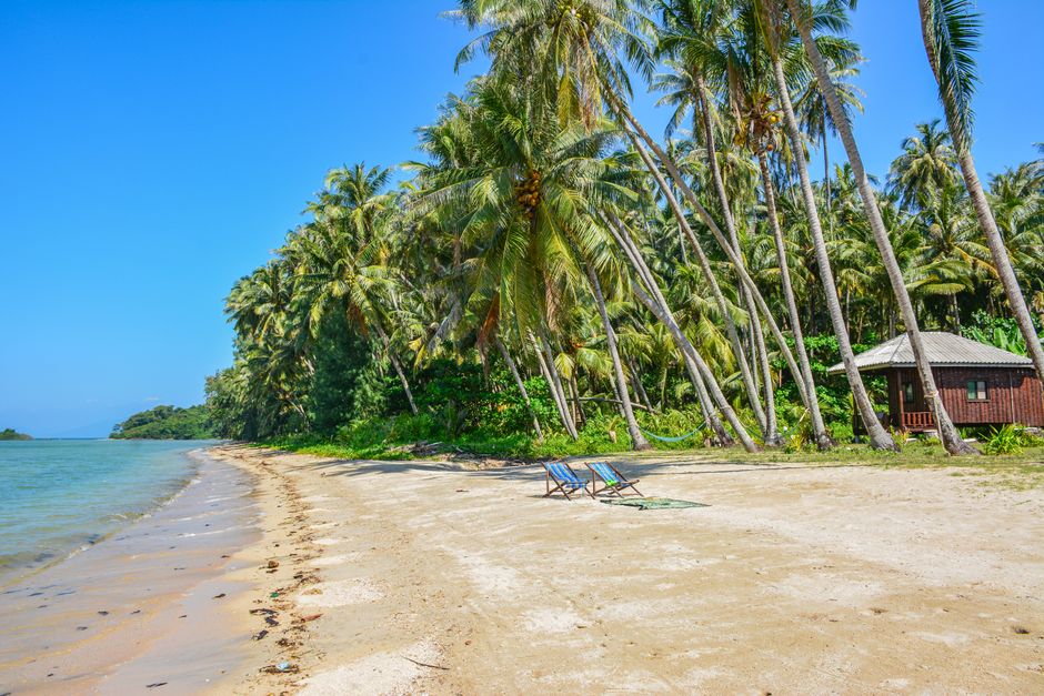 Stunning tropical beach on Ko Mak island, Thailand, with palm trees and clear blue skies. (photo by Siamways Individualreisen on Pexels)